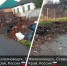 В Железноводске борьба со стихийными свалками затянулась на несколько недель - Вечерний Ставрополь