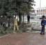Последствия непогоды начали устранять в муниципалитетах Ставрополья - Комсомольская Правда