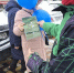 img - ЛДПР
