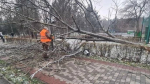 Последствия непогоды устраняют на Ставрополье