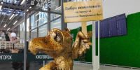 Сбои в расписании: какие рейсы задерживаются в аэропортах Ставрополя и Минеральных Вод - Bloknot-Stavropol.Ru