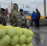 Порядка 100 мигрантов проверили полицейские на рынке Ставрополя - Комсомольская Правда
