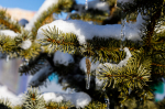 Гололедица ожидается в последние выходные 2025 года на Ставрополье