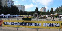 В Ставрополе в 2025 году провели почти в два раза больше продовольственных ярмарок. - Администрация Ставрополя