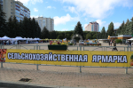 В Ставрополе в 2025 году провели почти в два раза больше продовольственных ярмарок.