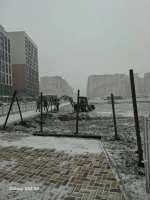 В юго-западном районе Ставрополя приступили к возведению плавательного бассейна.