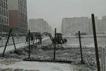 Модульный бассейн начали строить в юго-западном районе Ставрополя