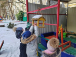 Подкормите птиц