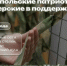 В Ставрополе заработает первая городская патриотическая мастерская - Вечерний Ставрополь