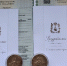 Первая на Ставрополье в 2026 году двойня родилась в Ессентуках - Комсомольская Правда