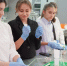 На Ставрополье определили регионального оператора телеолимпиады «Умницы и умники» - Министерство образования