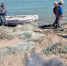 Сети браконьеров убрали на Егорлыкском водохранилище на Ставрополье - ИА Победа 26