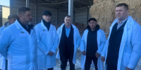 Производство молока в Кировском округе Ставрополья выросло за год в 2,7 раза - ИА Победа 26