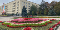 Около 75% цветов для клумб Ставрополя будут выращивать в теплице Горзеленстроя - ATVmedia.Ru