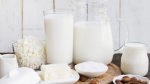 Экспорт ставропольских молочных продуктов вырос вдвое