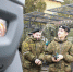 В Управлении Росгвардии по Ставропольскому краю прошел день открытых дверей - Росгвардия