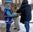 img - ЛДПР