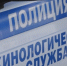 Угроза в лицее №6 в Ессентуках не подтвердилась - ИА Победа 26