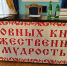 Приходская конференция, приуроченная к празднованию Дня православной книги, прошла в храме святого великомученика и целителя Пантелеимона города Ставрополя - Епархия