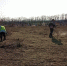 В Кировском округе состоялась предпасхальная уборка - Вечерний Ставрополь