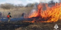 В Ставрополе ликвидировали возгорание камыша на 7 гектарах - Вечерний Ставрополь