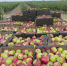 Владимиров: Ставрополье наращивает экспорт продукции АПК - Вечерний Ставрополь