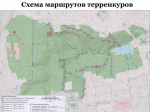 Что известно на сегодня о терренкурах в Таманском лесу Ставрополя: 7 троп, 24 миллиона и никаких вырубок