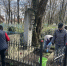 Захоронения фронтовиков и объекты воинской славы в Ставрополе готовят к 9 мая - Телеканал СвоёТВ