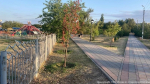 Директор Горзеленстроя на Ставрополье получила условный срок за мошенничество