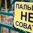 В Москву доставили брошенную в Северной Осетии маленькую медведицу - ИА Победа 26