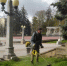 В Ставрополе скосили траву на площади свыше 690 тысяч квадратных метров. - Администрация Ставрополя
