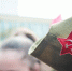 Реконструкцию событий Великой Отечественной войны проведут в Предгорье - ATVmedia.Ru