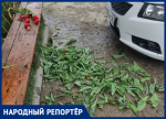 Цветочные варвары возмутили жителей Ставрополя