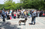 День полиции отметили в Ставрополе 30 мая