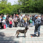 День полиции отметили в Ставрополе 30 мая