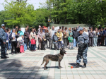 День полиции отметили в Ставрополе 30 мая