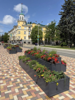 На улицах Ставрополя к началу лета высадили около 60 вазонов с цветами