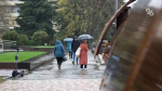 На Ставрополье ввели режим повышенной готовности из-за непогоды