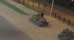 Вандалы вырвали цветы из клумбы в центре Ставрополя