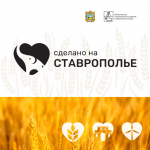 Число брендов на маркетплейсе "Сделано на Ставрополье" выросло до 500