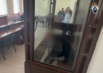 Житель Ставрополья задушил новую знакомую после просьбы оплатить поездку