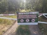 Внимание! «Лесные» ограничения продлены