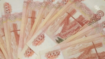 Чиновница на Ставрополье вернула в бюджет 4,3 млн руб. необъяснимых доходов