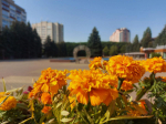 За вторую неделю августа в Ставрополе родилось 168 детей