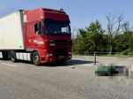 На трассе «Кавказ» в Ставропольском крае грузовик насмерть сбил велосипедиста