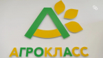 Ещё три агрокласса откроют в Минераловодском округе
