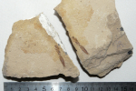 оф 14788-38.JPG