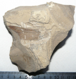 оф 14788-88.JPG