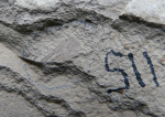 оф 14788-115.JPG