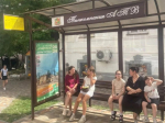 Более 7 тысяч цветов высадили на клумбах Ставрополя ко Дню города.